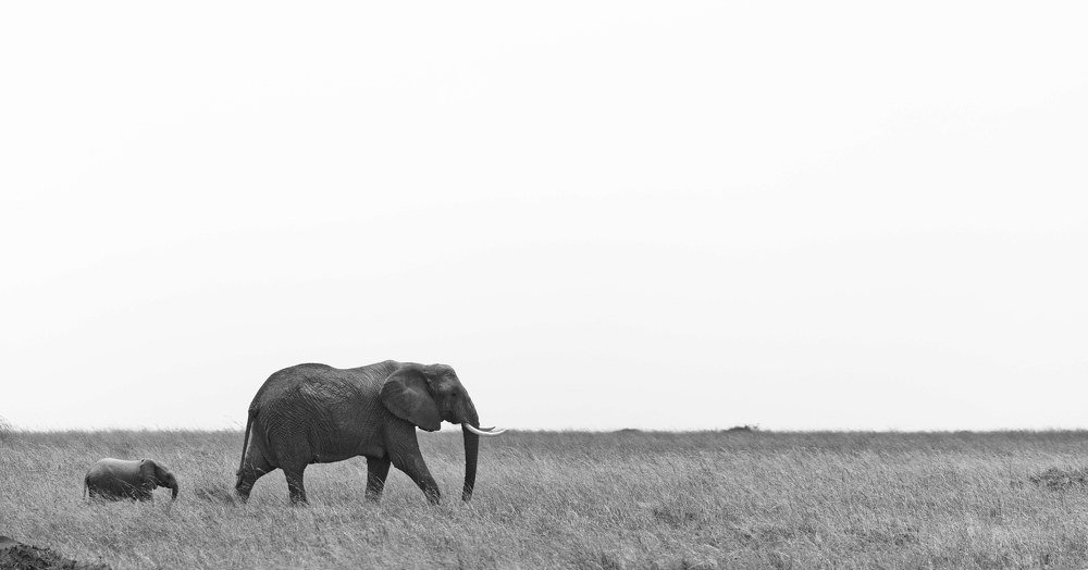 Photograph by Suryakant Sajjan