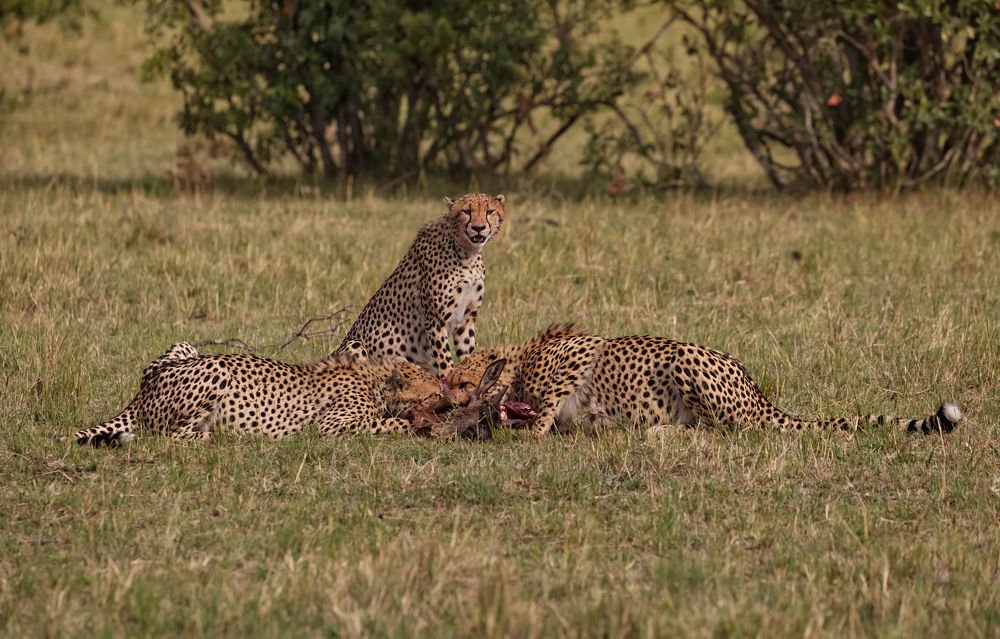 Photograph by Suryakant Sajjan