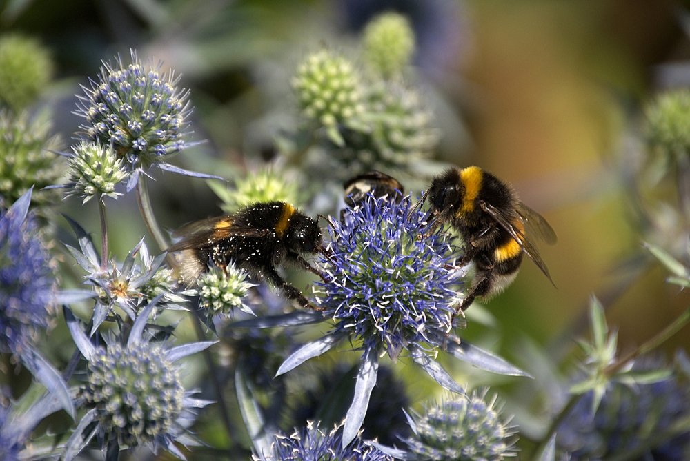 Photograph by Yroslava Veretina