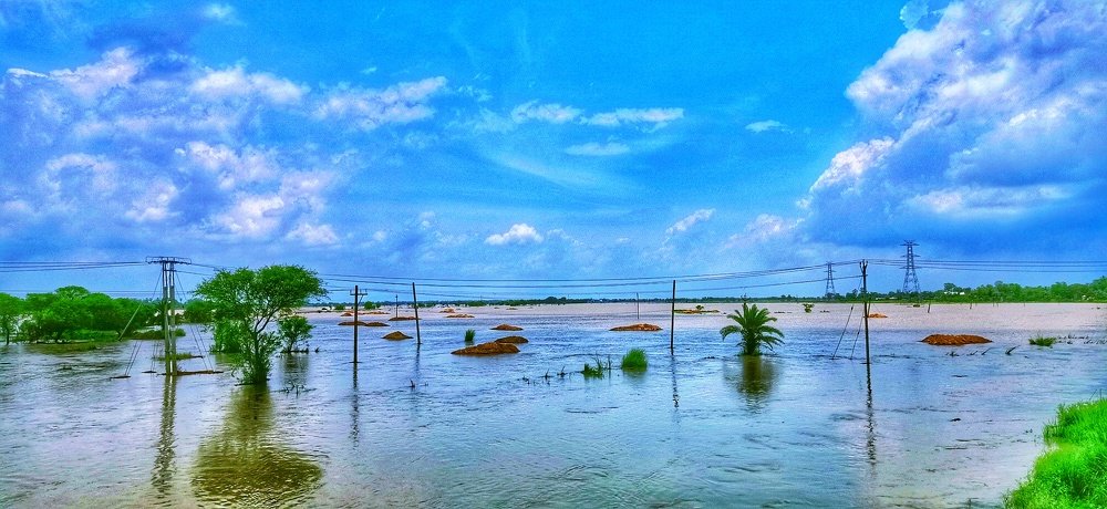 Beauty of Nature...