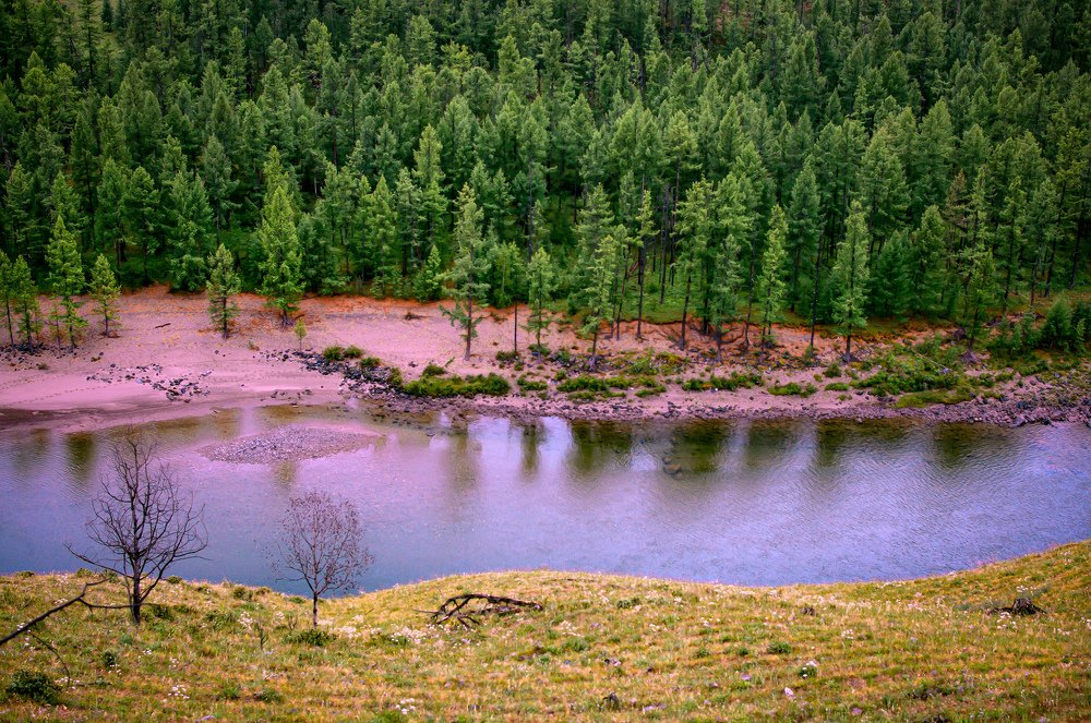 Photograph by Анастасия Сахаревич