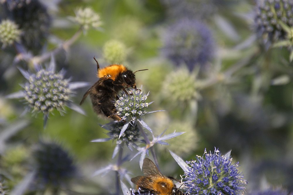 Photograph by Yroslava Veretina