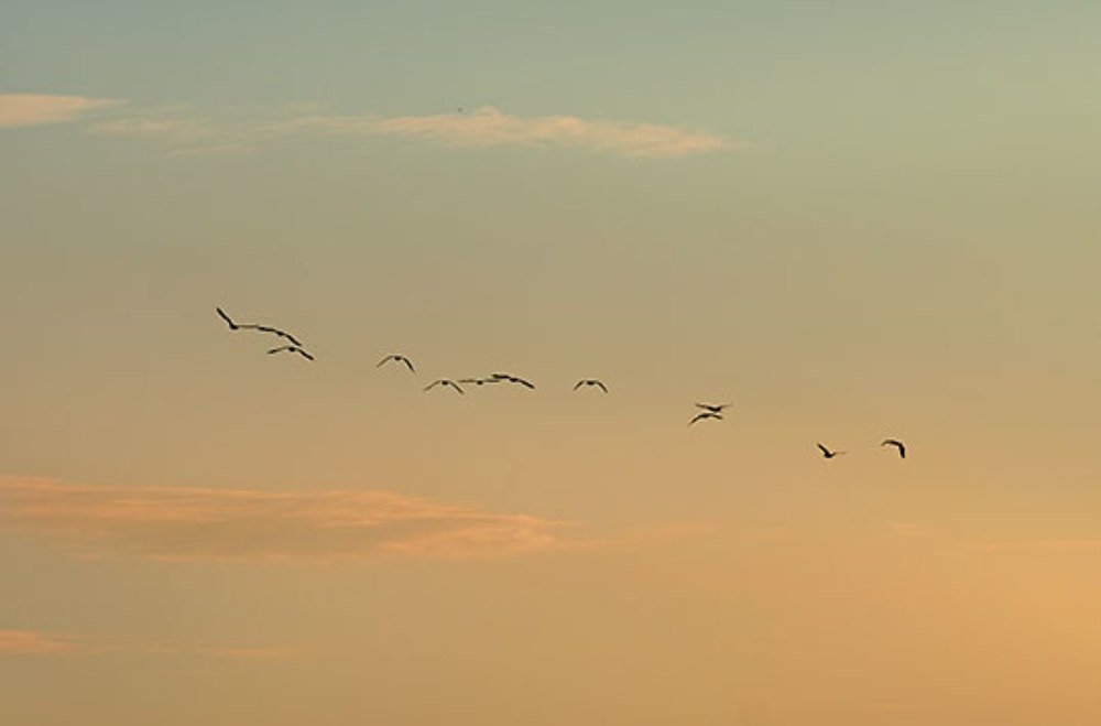 Photograph by Екатерина Ким