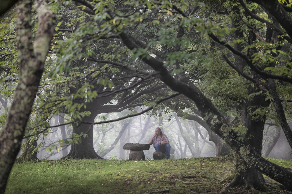 Photograph by Syundyukova Oksana