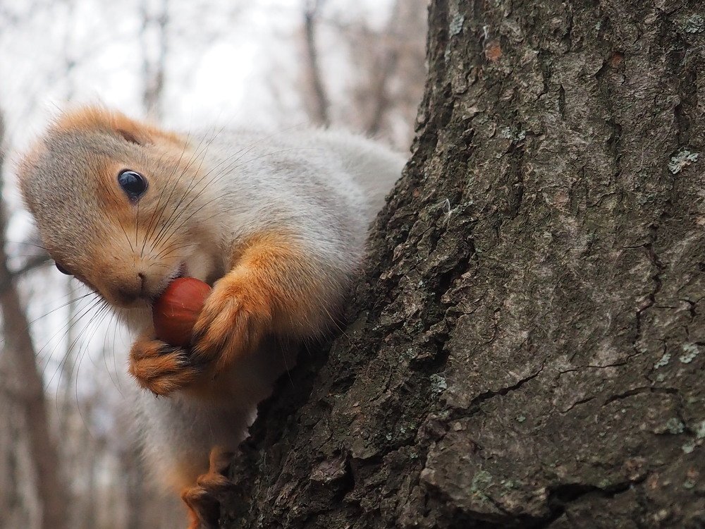 Photograph by Elena Khalizova