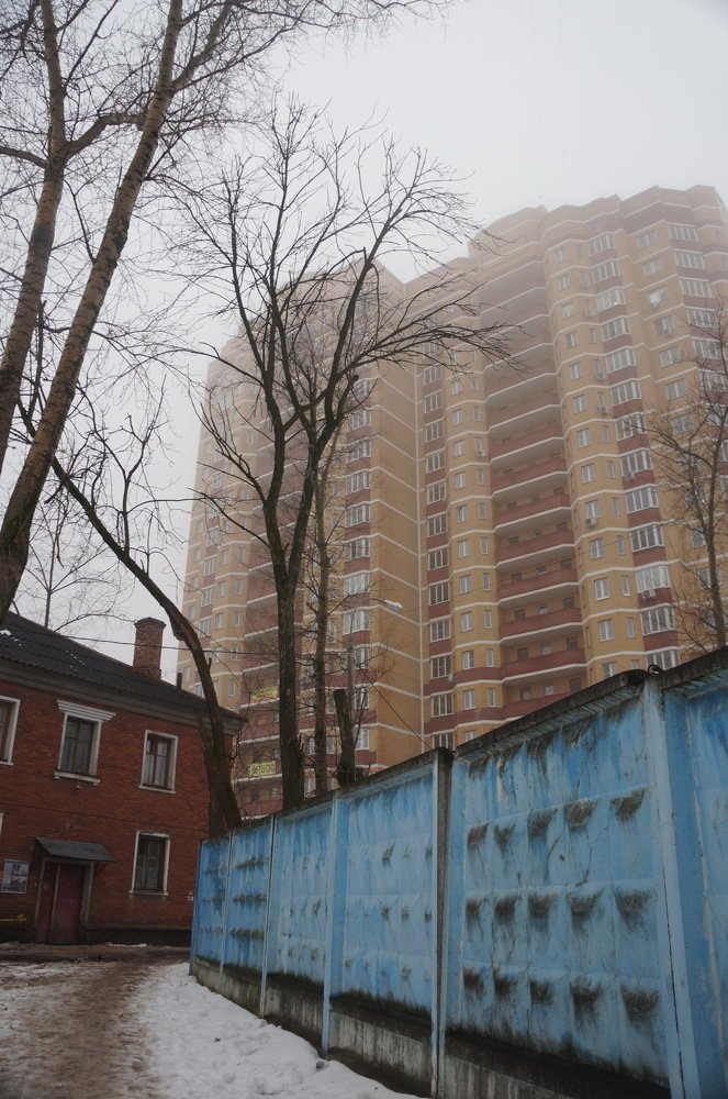 Февральский туман