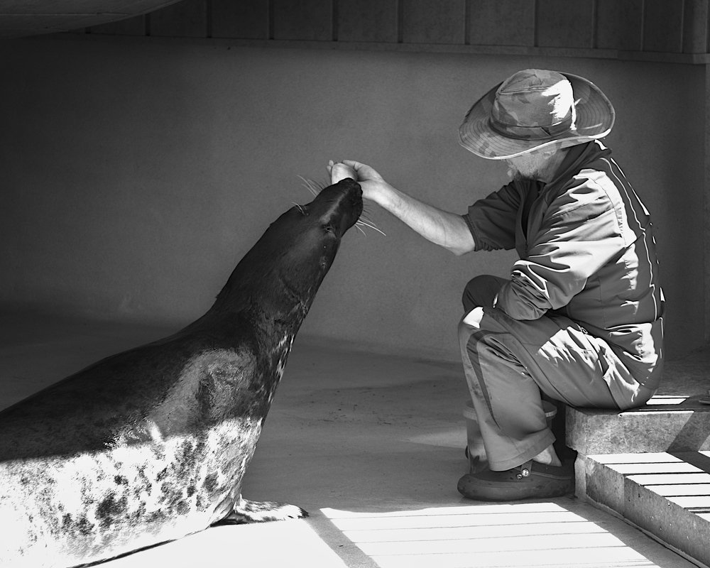 Фотография автора Saulius Smirinenko