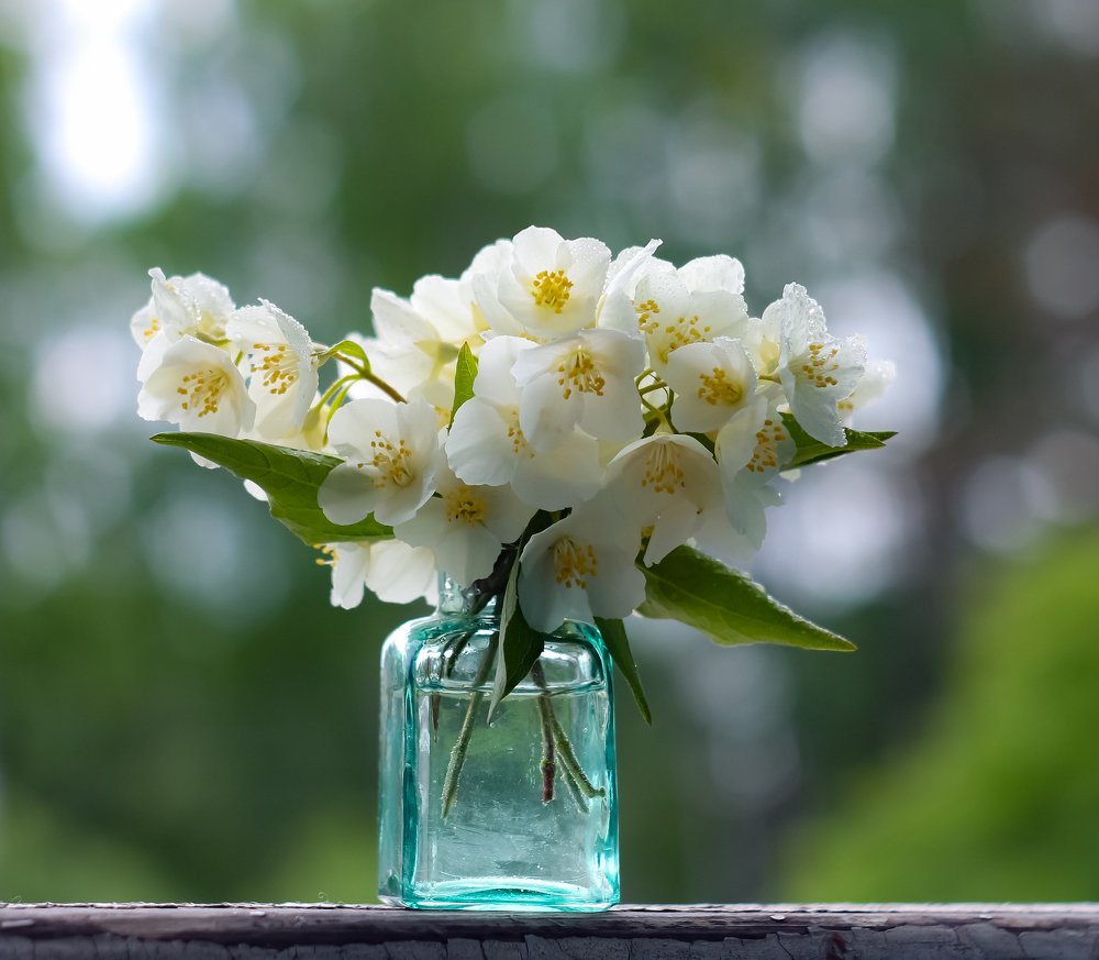 Photograph by Екатерина Вспышкина