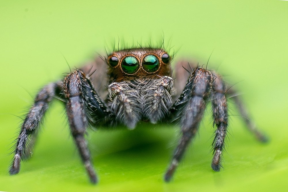 Photograph by Rohit Rajak