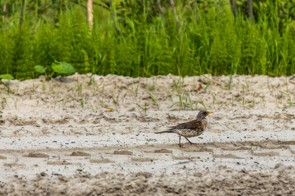Photograph by Руслан Абдрашитов
