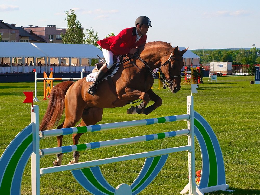 Фотография автора Игорь Чеботарёв