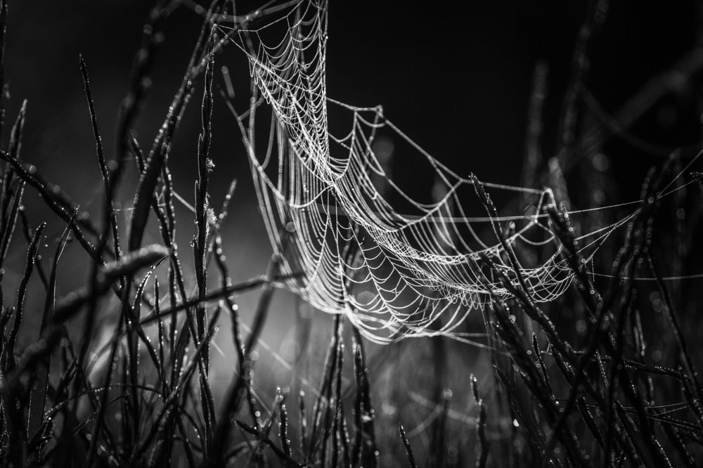 Photograph by  Михаил