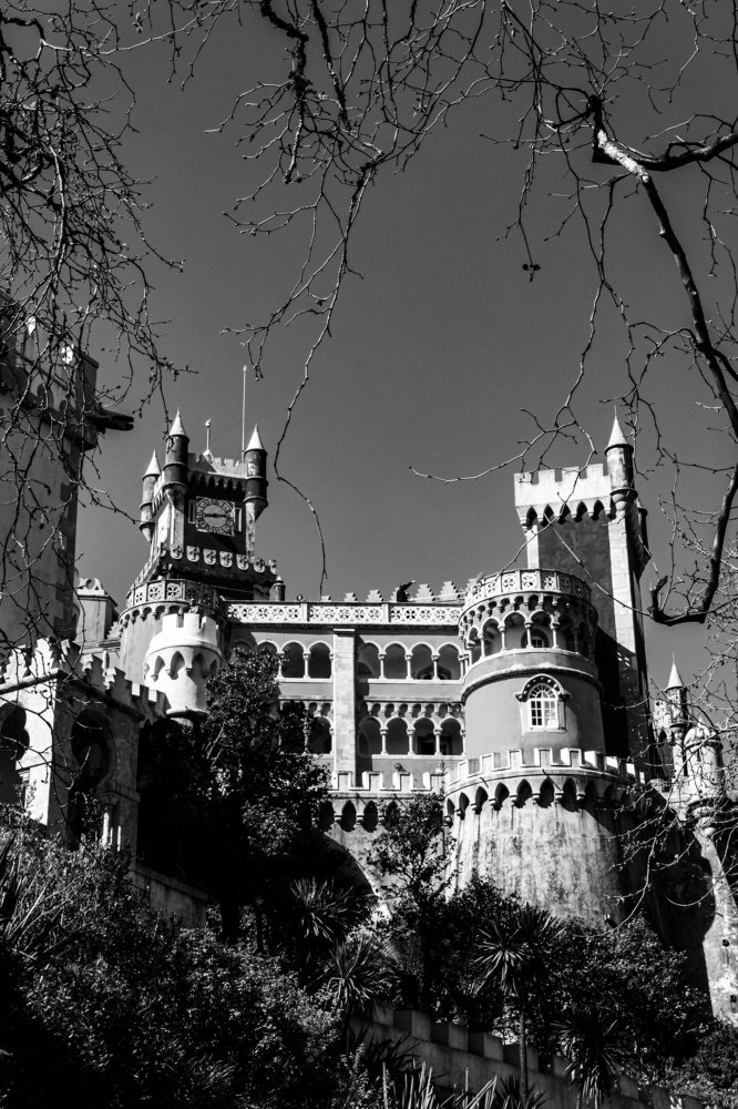 Photograph by Aparecido Donizete de Miranda