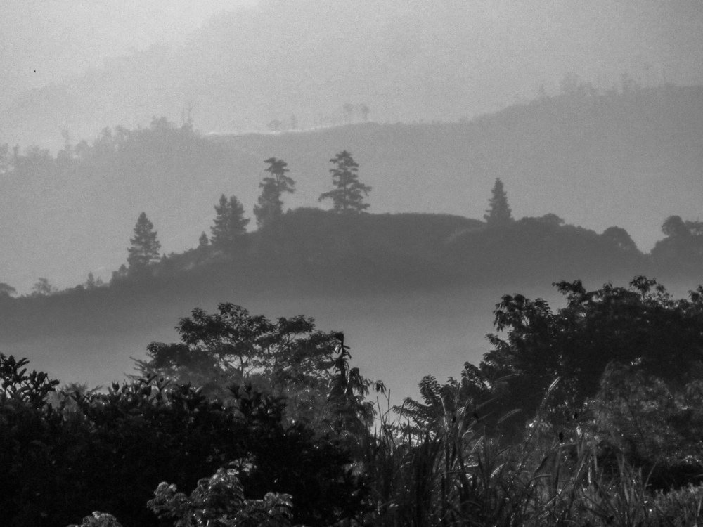 Photograph by Albert Maramis