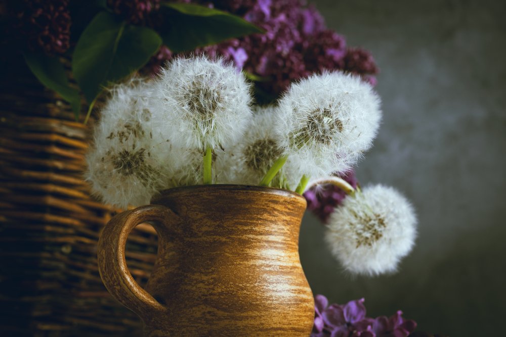 Photograph by Анна Айбетова