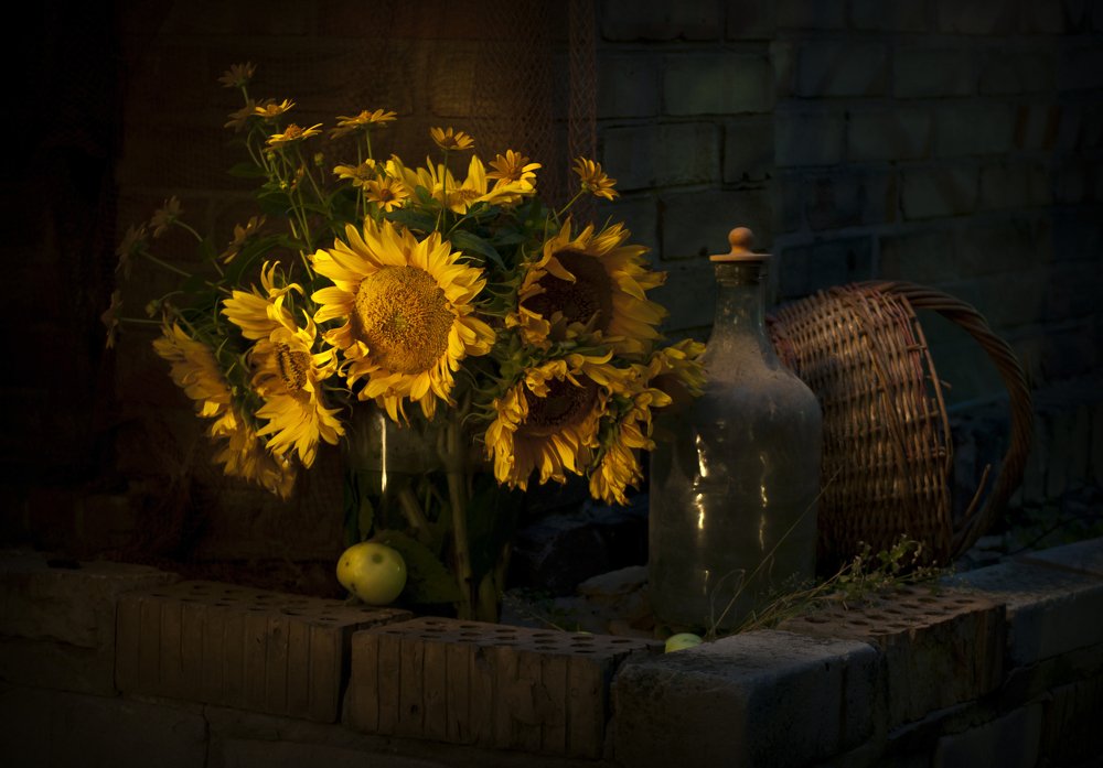 Photograph by Анна Айбетова