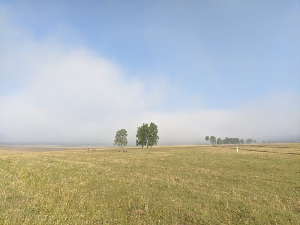 Photograph by Наиль Шакиров