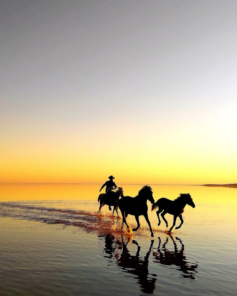 Фотография автора Mustafa Binol