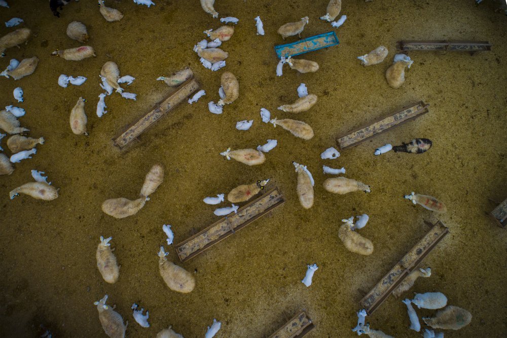 Фотография автора Mustafa Binol