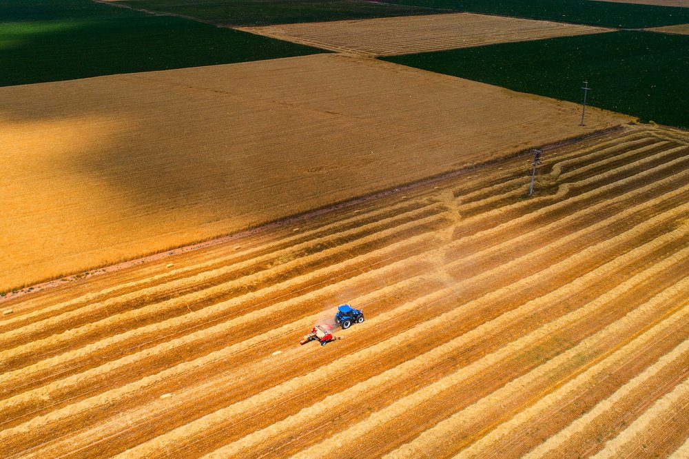 Photograph by Mustafa Binol