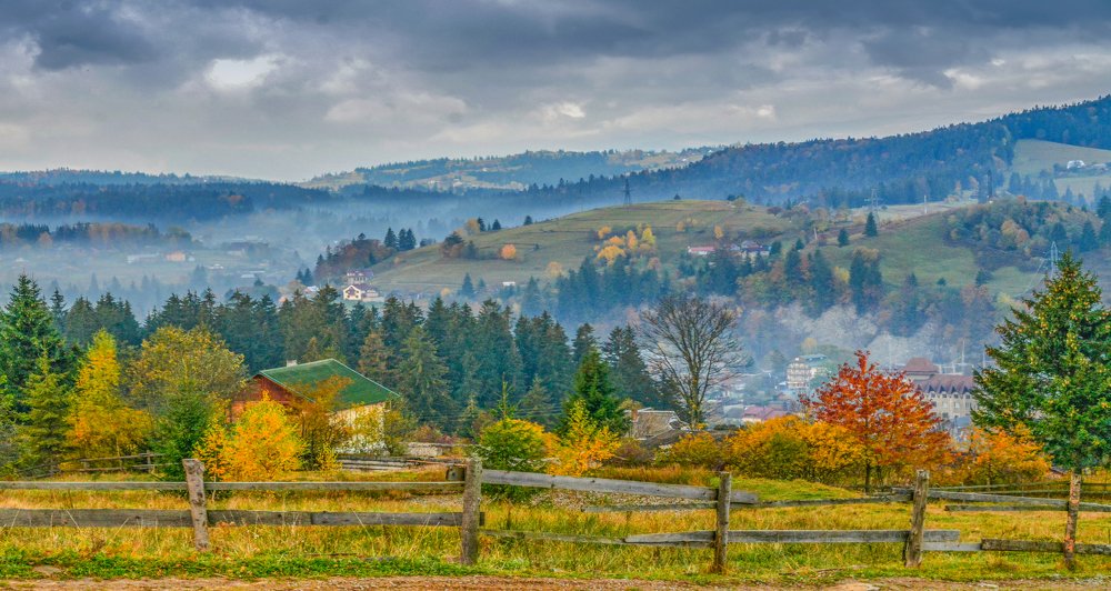 Photograph by Владимир Гузик