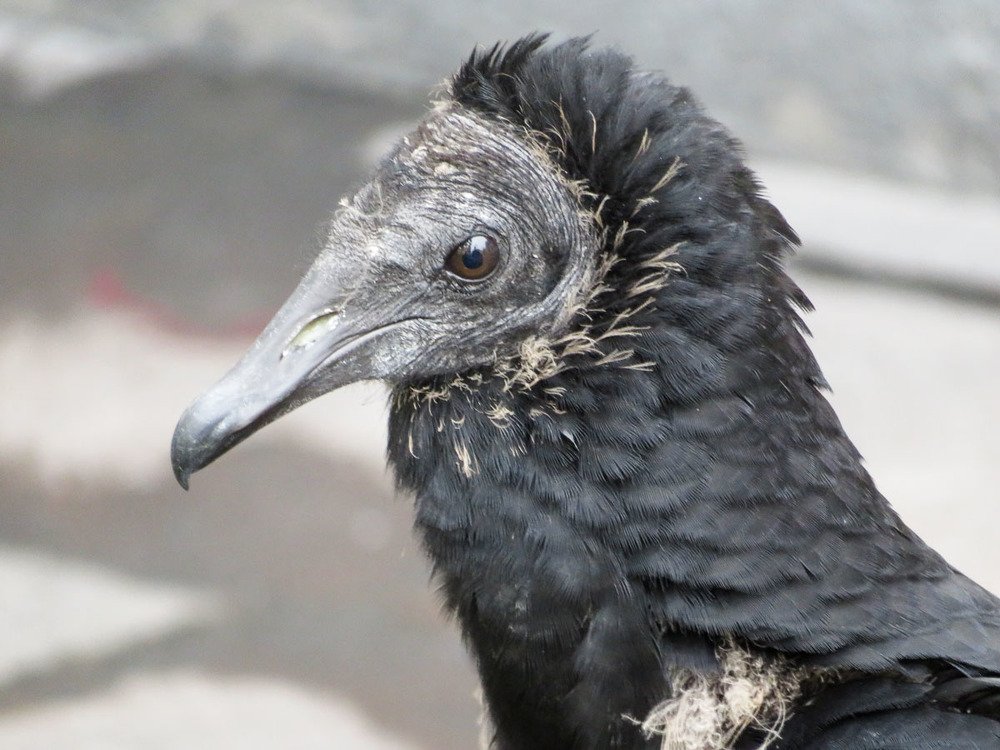 Photograph by Сергей Козинцев