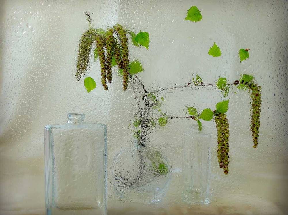 Photograph by Светлана Лехмус