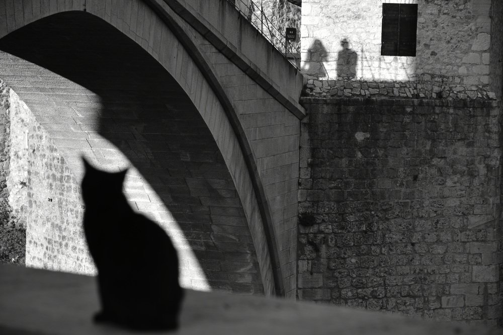 Photograph by Sonja Maric