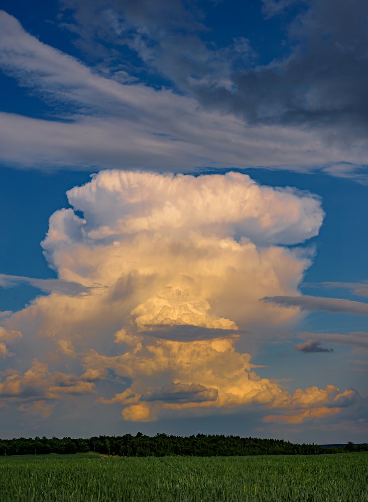 Photograph by Ильдар Гараев