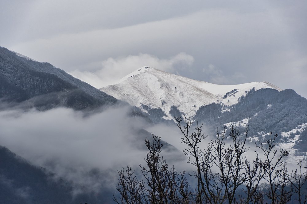 Photograph by Manjri Saxena