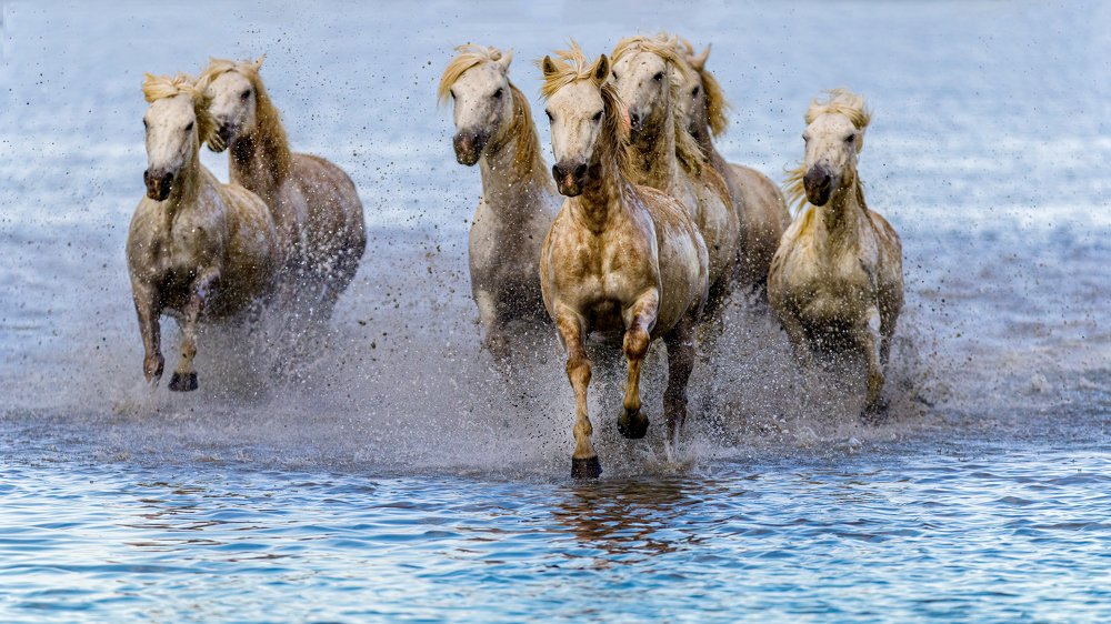 Photograph by Ruzdi Ekenheim