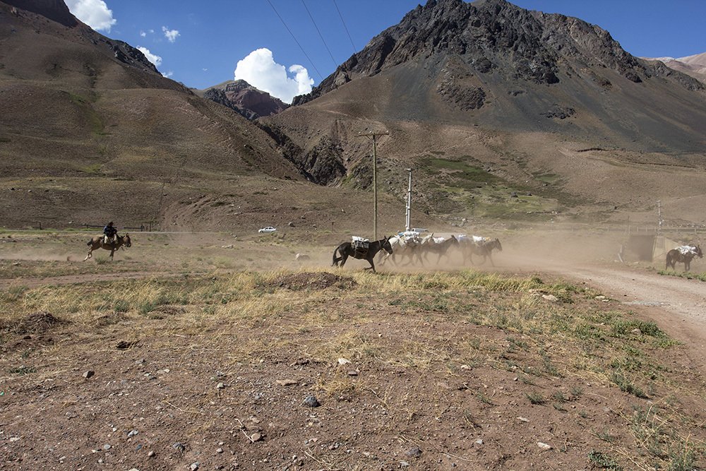 Photograph by Ricardo Pretta