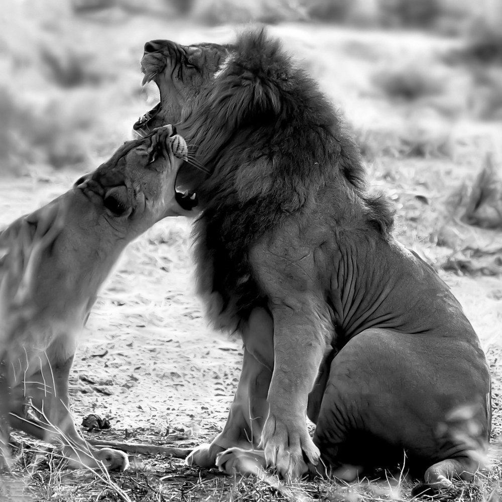 Photograph by David Lerer