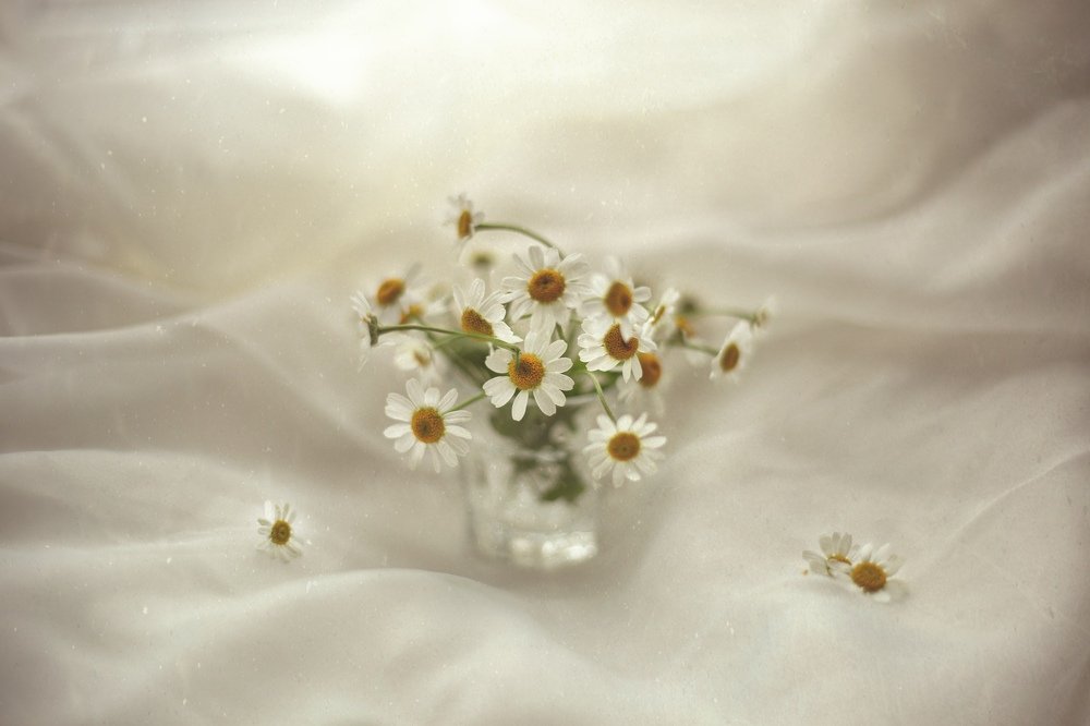 Photograph by Эмилия Олькова