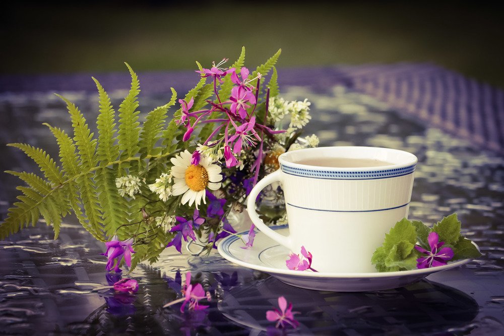 Photograph by Jelena Dzene