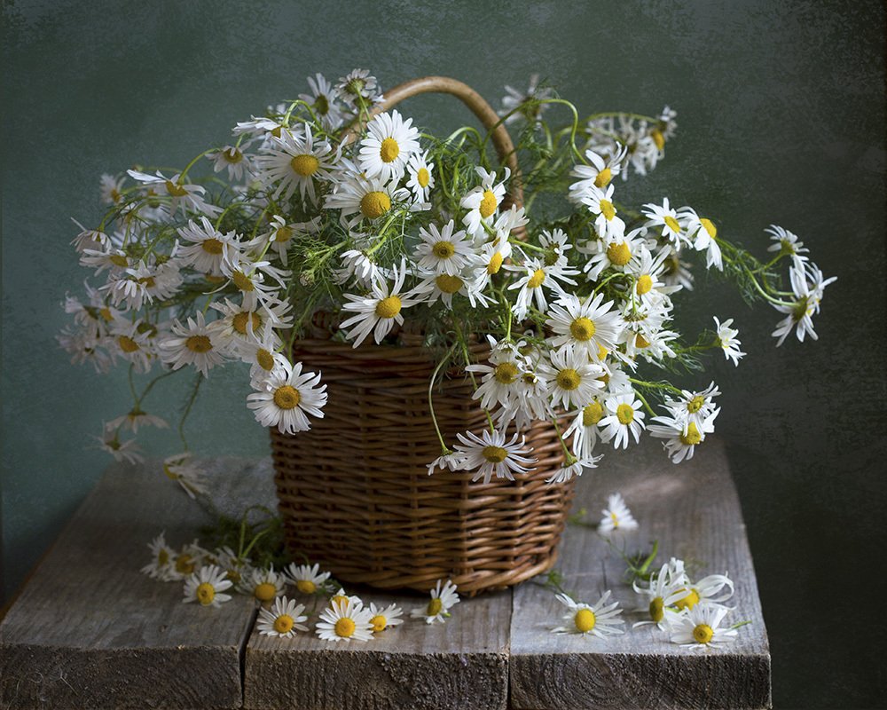 Photograph by Марина Кулакова