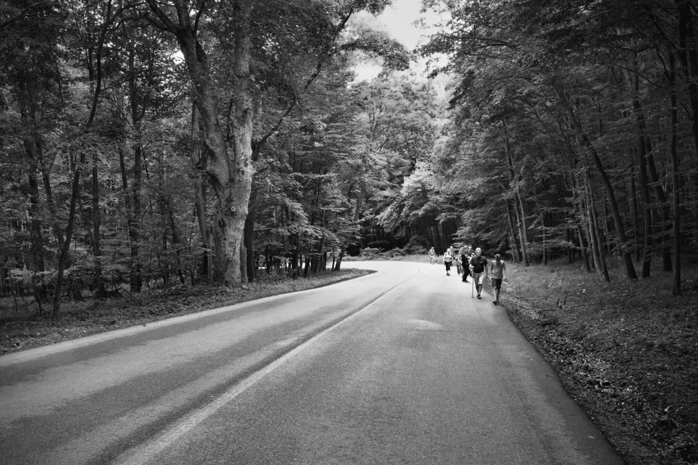 Photograph by Angelika Kopják