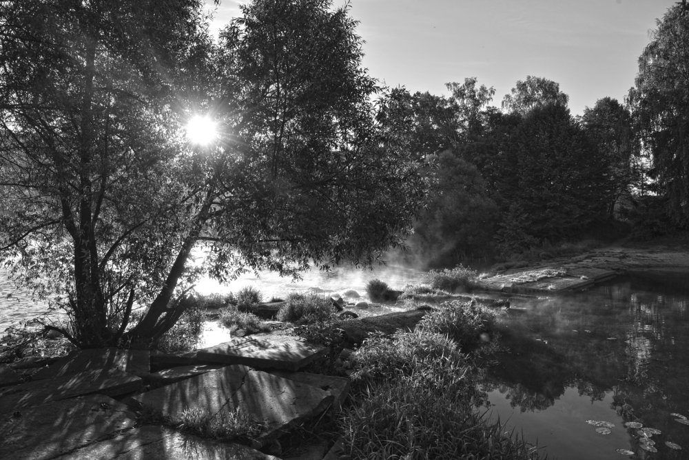 Фотография автора Коротков Алексей