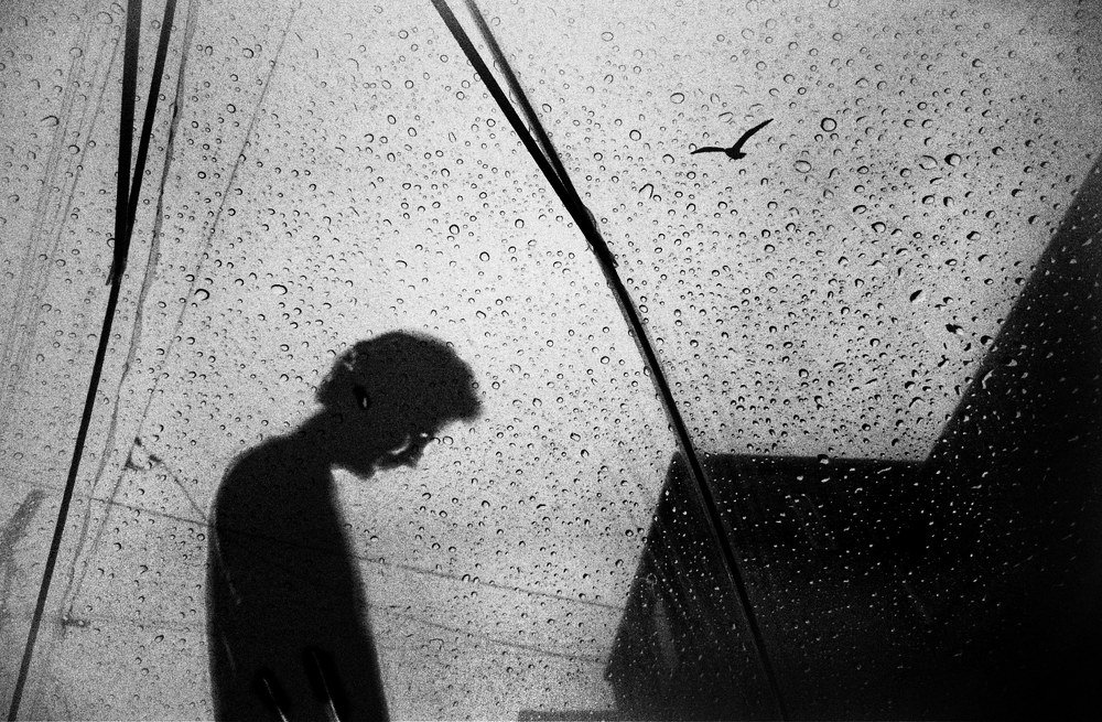 Photograph by Mobina Eidani