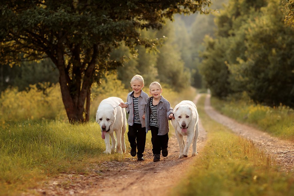 Фотография автора Александр Калинин