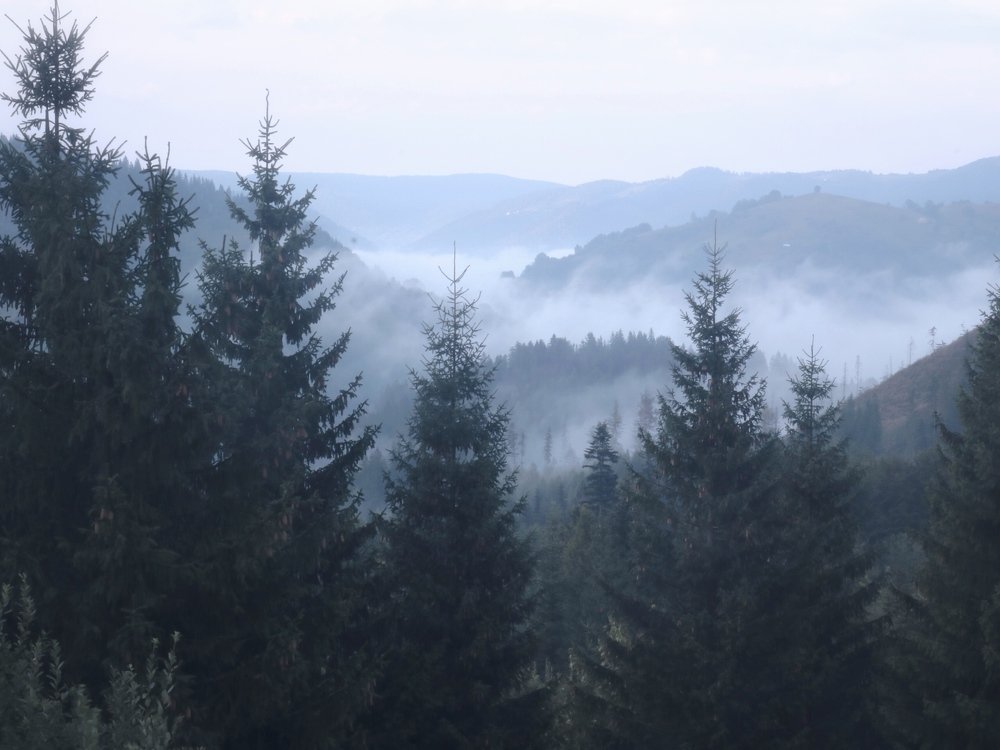 Фотография автора Виталия Латаш