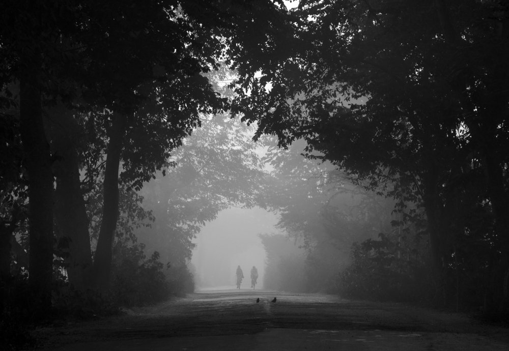 Photograph by Shuvrojit Biswas