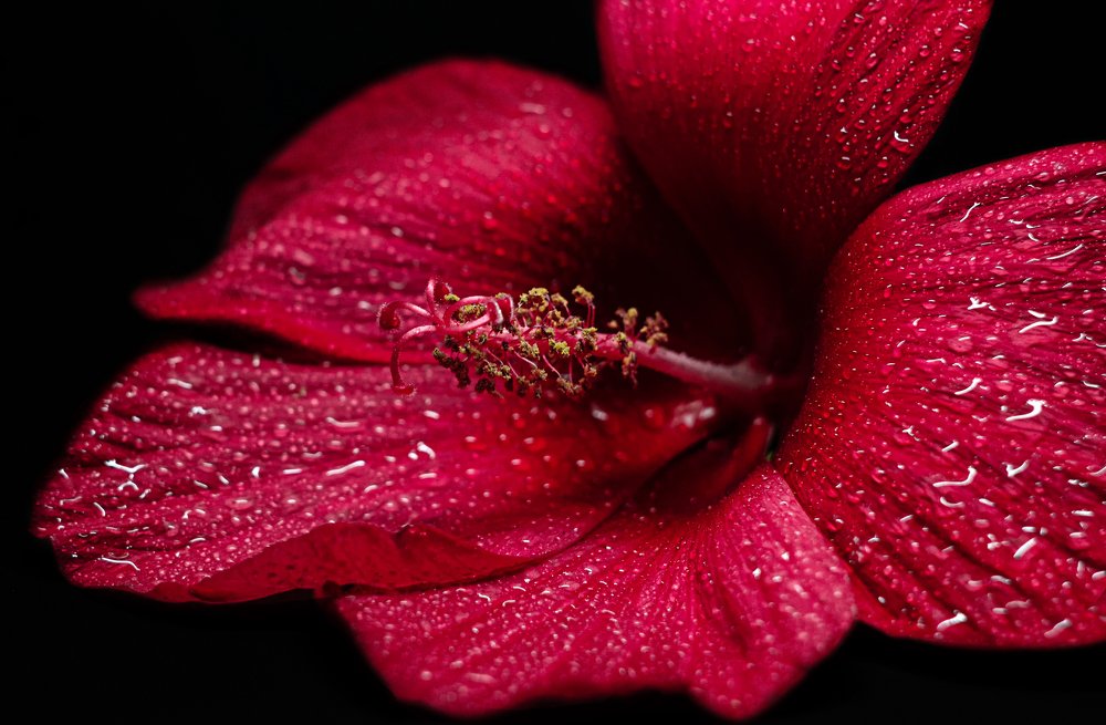 Photograph by Екатерина Потанина