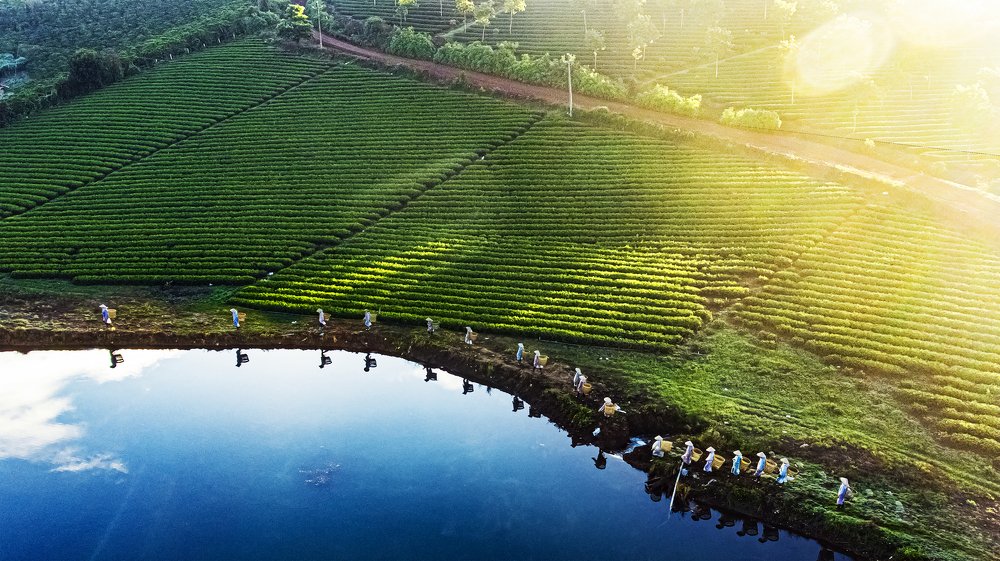 Photograph by VĂN HỢP LÒ