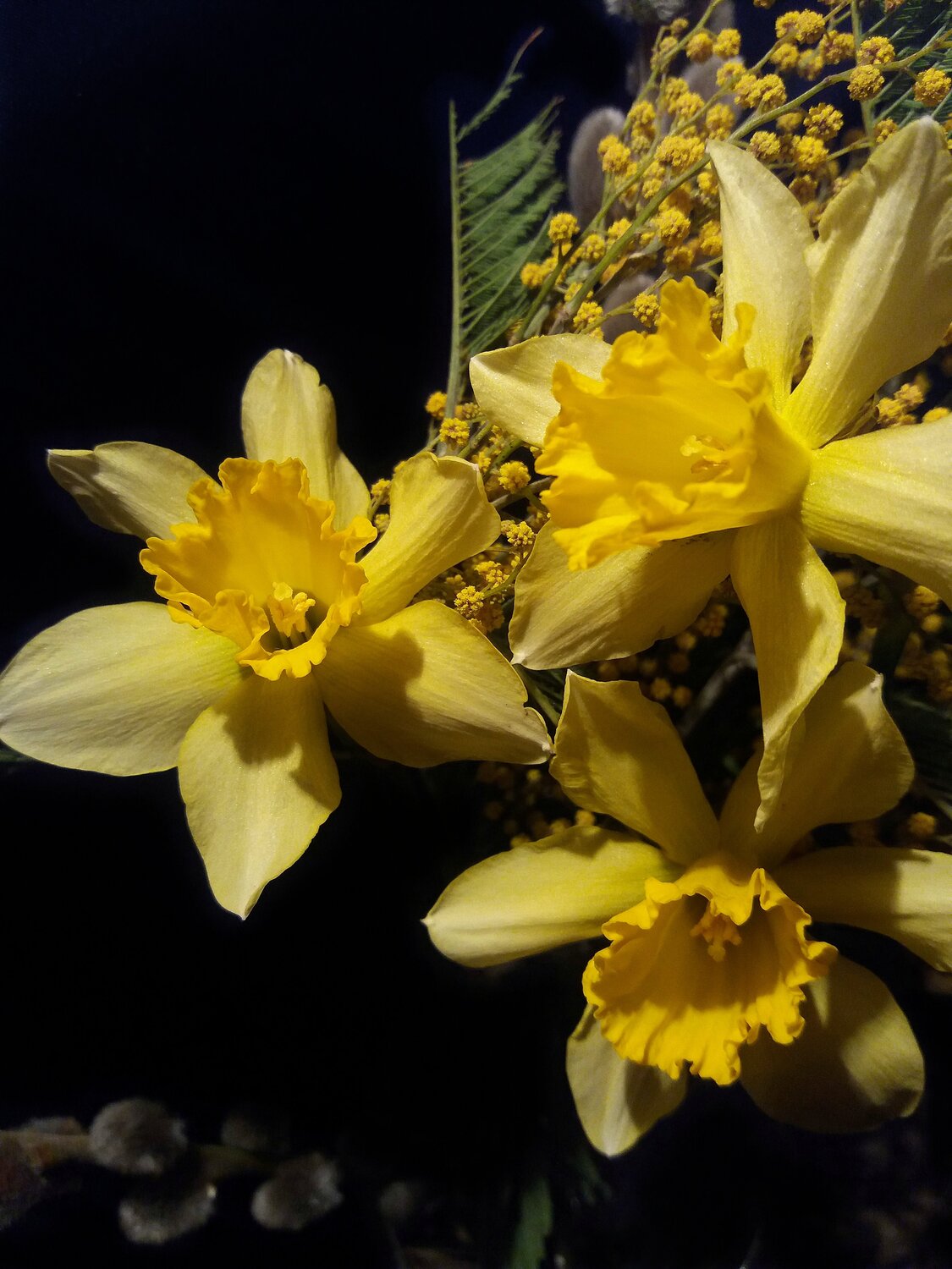 Photo #4802739