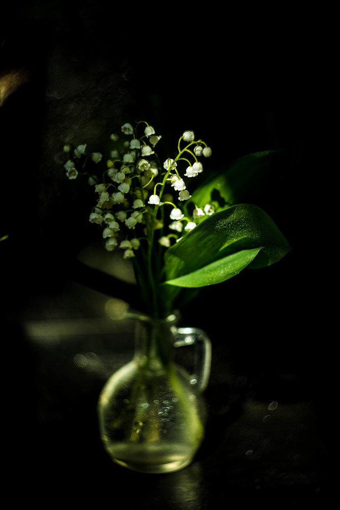 Photograph by Наталья Лещинская