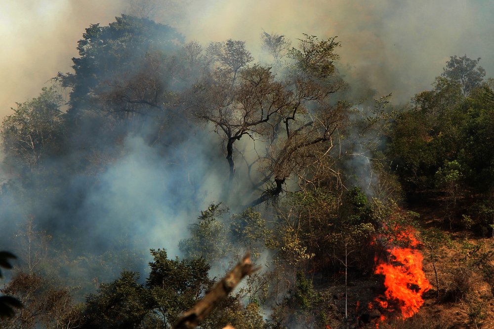 Photograph by Tatiana Barthem