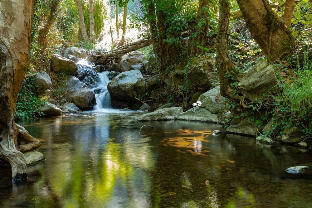 Photograph by Ognyan Levashki