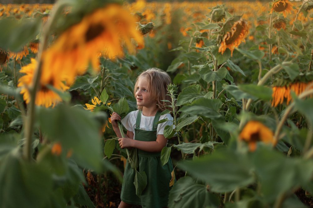 Photograph by Светлана Чепелюк