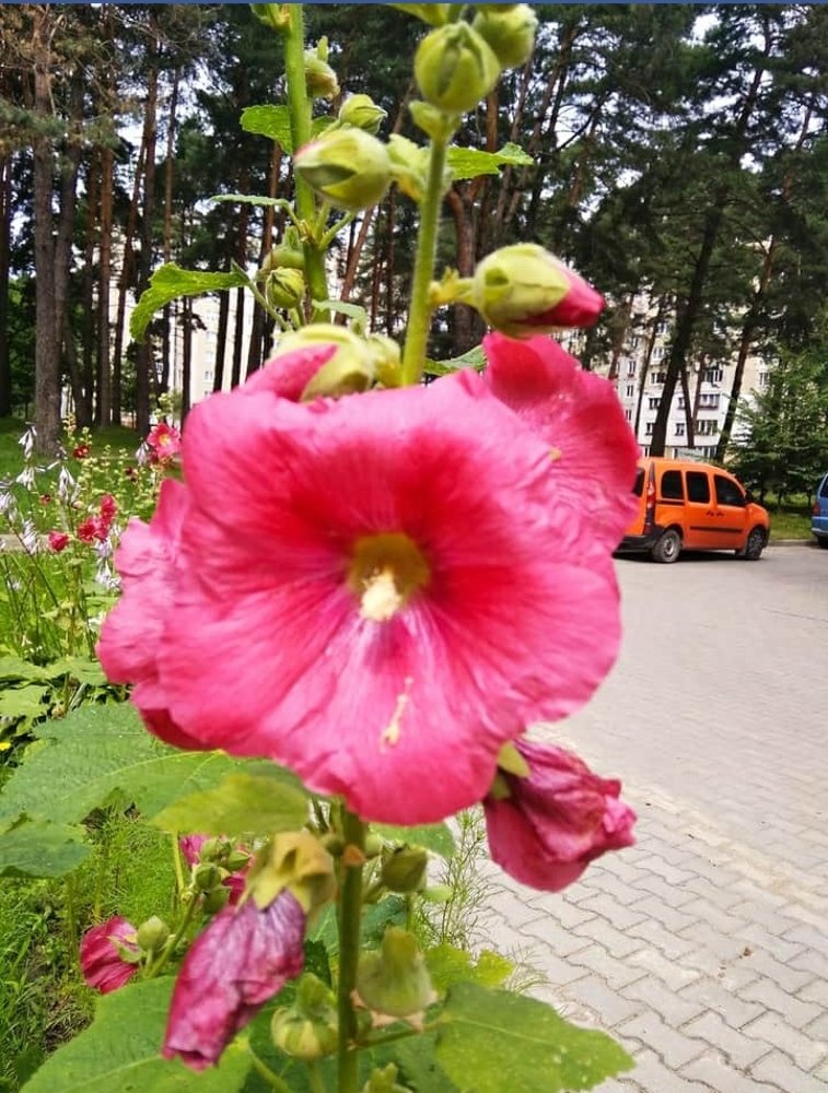 Photograph by Руслан